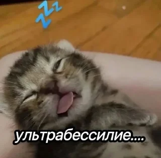 Дин sticker 1