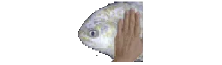 🌟 emoji рыби Telegram sticker 6 of 7