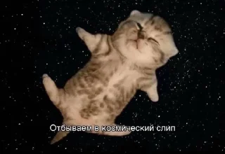 🌟 emoji катятке Telegram sticker 9 of 44