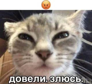 🌟 emoji катятке Telegram sticker 16 of 44