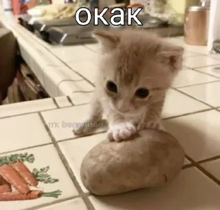 🌟 emoji катятке Telegram sticker 14 of 44
