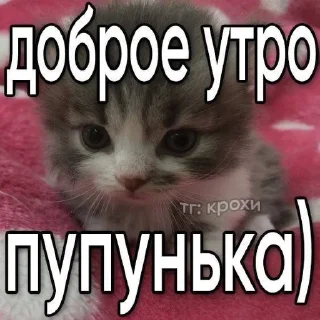 🌟 emoji катятке Telegram sticker 20 of 44