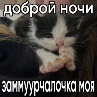 🌟 emoji катятке Telegram sticker 22 of 44