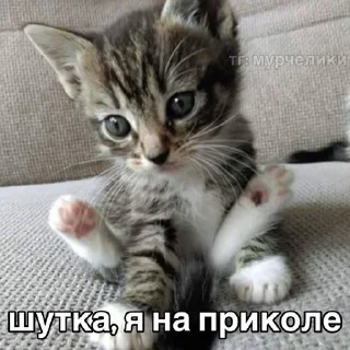🌟 emoji катятке Telegram sticker 17 of 44