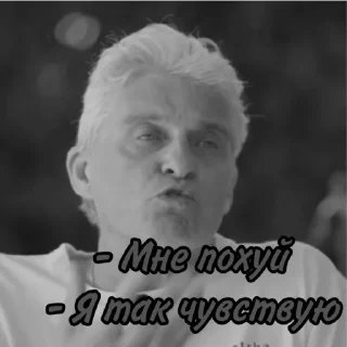 Sticker from Не лох, а трейдер