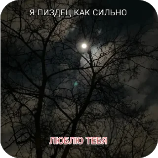 Sticker from Для ебланчиков)➡️ @Ctikerubot