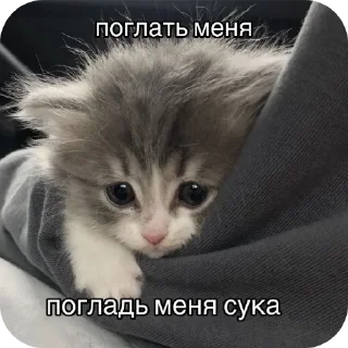 Sticker from Для ебланчиков)➡️ @Ctikerubot