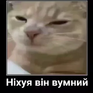 🧐 emoji для душі:) ➡️ @Ctikerubot Telegram sticker 20 of 49