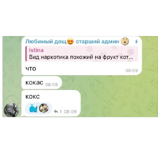 🫥 emoji Мой любимые алкаши и нарики(супик) Telegram sticker 1 of 17