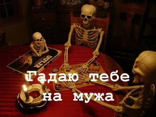 Sticker from Скелет из Шкафа