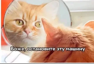 🔥 emoji сумасшедший дом Telegram sticker 5 of 120