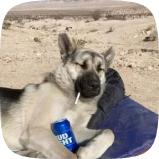🤨 emoji Шабаки овчаркосенберные Telegram sticker 5 of 120