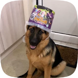 😊 emoji Шабаки овчаркосенберные Telegram sticker 8 of 120
