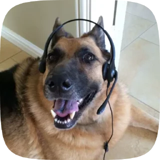 😊 emoji Шабаки овчаркосенберные Telegram sticker 7 of 120