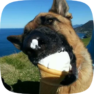 😋 emoji Шабаки овчаркосенберные Telegram sticker 9 of 120