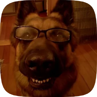 🤓 emoji Шабаки овчаркосенберные Telegram sticker 6 of 120