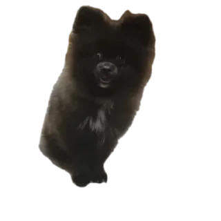 Sticker from Лёва