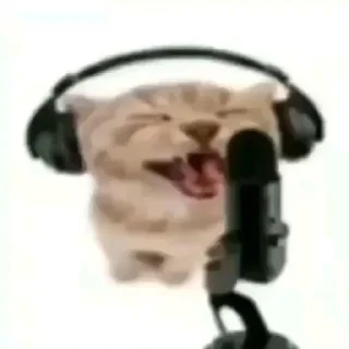 Sticker from \•°So fuckin meow-meow°•\