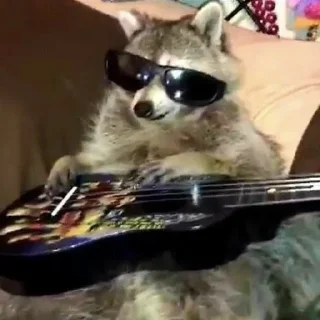 🦝 emoji малыши енотика Telegram sticker 20 of 32