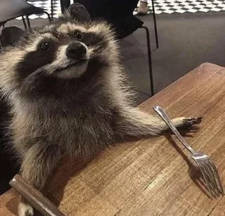 🦝 emoji малыши енотика Telegram sticker 14 of 32