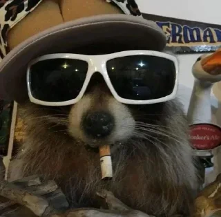 🦝 emoji малыши енотика Telegram sticker 19 of 32