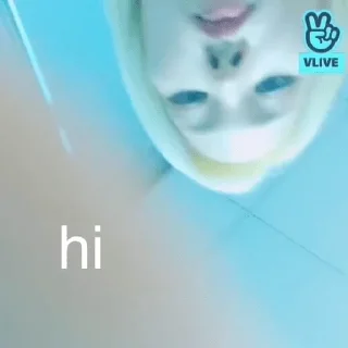 Sticker from everglow memes