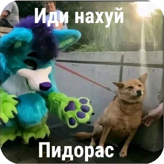 Sticker from абсолютная поебень @zxdvxk1998