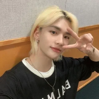 🌟 emoji 🪷| hyunjin @skzstickersss Telegram sticker 11 of 20
