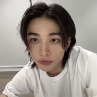 🪷 emoji 🪷| hyunjin @skzstickersss Telegram sticker 18 of 20