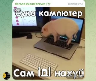 Sticker from Пк гої @RX6700xt_enjoyer