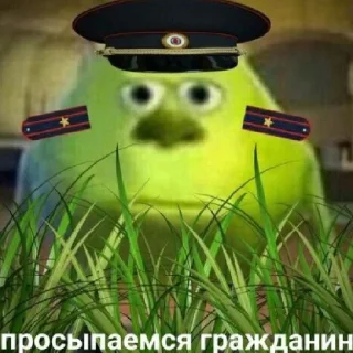 😐 emoji какого цвета на тебе трусы? Telegram sticker 9 of 29