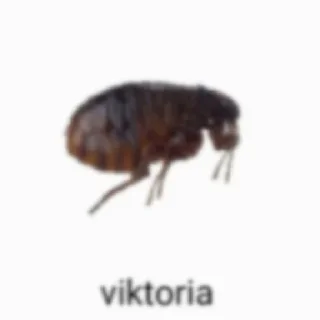 😋 emoji какого цвета на тебе трусы? Telegram sticker 3 of 29