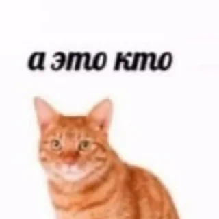 🤨 emoji какого цвета на тебе трусы? Telegram sticker 17 of 29
