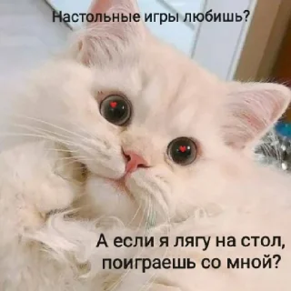 😏 emoji какого цвета на тебе трусы? Telegram sticker 12 of 29
