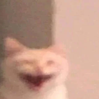 😂 emoji какого цвета на тебе трусы? Telegram sticker 10 of 29