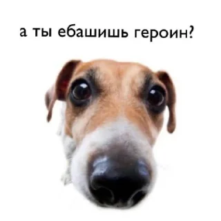 😋 emoji какого цвета на тебе трусы? Telegram sticker 24 of 29