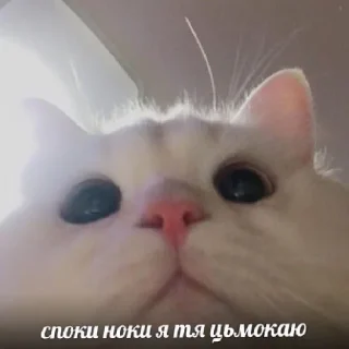 😘 emoji какого цвета на тебе трусы? Telegram sticker 11 of 29