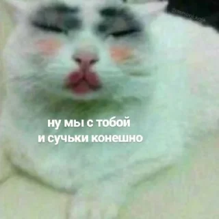 😆 emoji какого цвета на тебе трусы? Telegram sticker 22 of 29