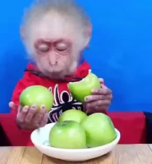 Sticker from 🐒 Growing Monkey