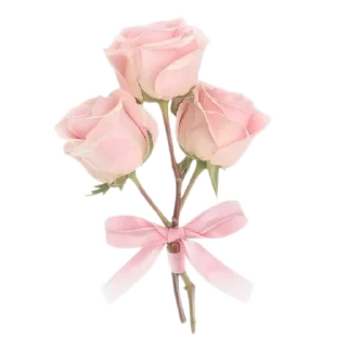 Sticker from bouquet of flowers ( @stickers_by_k )