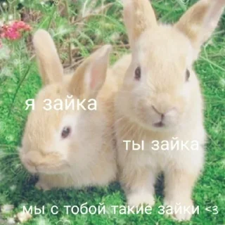 🐰 emoji я люблю тебя♡ Telegram sticker 24 of 110