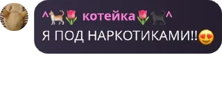 😍 emoji бэстэ🎀🎀 pack by @QuotLyBot Telegram sticker 7 of 58