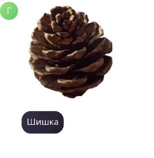 👷‍♀️ emoji бэстэ🎀🎀 pack by @QuotLyBot Telegram sticker 24 of 58