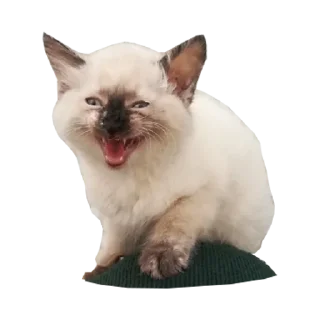 Sticker from ада