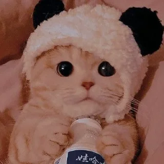 Sticker from мур