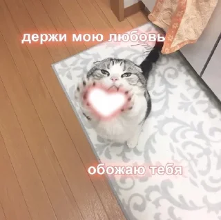 Sticker from Мур ❤️