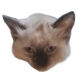 Sticker from ада