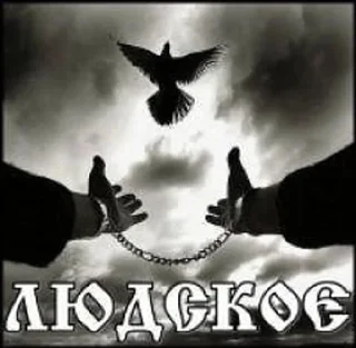 Sticker from Людское @VORAN4IK