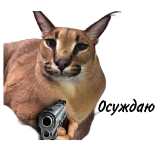 🔫 emoji Такой разный Шлёпа @Karim_i_to4ka и @Akira0992 Telegram sticker 21 of 50