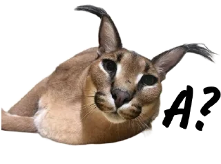 🅰️ emoji Такой разный Шлёпа @Karim_i_to4ka и @Akira0992 Telegram sticker 19 of 50